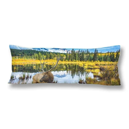 ABPHOTO Fall Rocky Mountains Canada Red Deer Lake Body Pillow Covers Case Protector 20x60 (Best Body Pillow Canada)