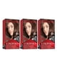 thumbnail image 1 of Tinte de pelo Revlon Colorsilk 33 Castaño oscuro y suave 130 ml x3, 1 of 1