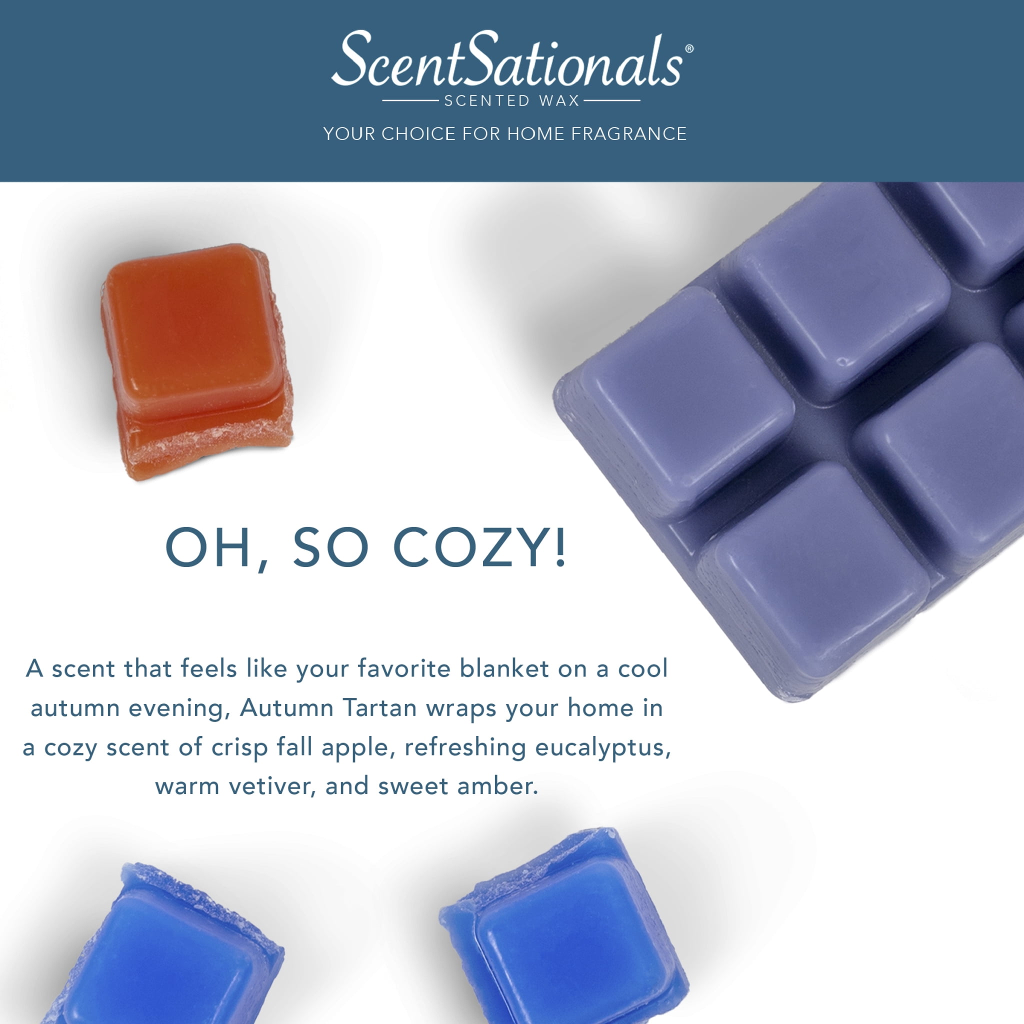 Cozy Fall Edition Soy Wax Melts – The Wax Chemist
