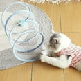 thumbnail image 4 of BKER Foldable Cat Tunnel Toy With Crinkle Fabric Collapsible Play Tube | 25x25cm Compact Design For Indoor Cats (Color Varies), 4 of 4