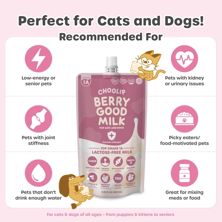 CHOOLIP, Vitamin Pet Milk, 67.6 fl oz 10 Pack Lactose Free with