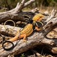 thumbnail image 6 of Adjustable Escape Proof Lizard Leash Harness Set for Bearded Dragon Leopard Gecko Iguana Small Reptile Outdoor Walking Lightweight Soft Nylon, 6 of 6