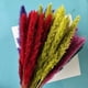 thumbnail image 4 of Phagmites De Hierba De Pampas Secas Pequeñas Decoración De Fragmitas Pequeños De Pampas Pequeños De Hierba De Decoración De Flores Secas Para Bodas En El Hotel seitruly HA044444-07, 4 of 6