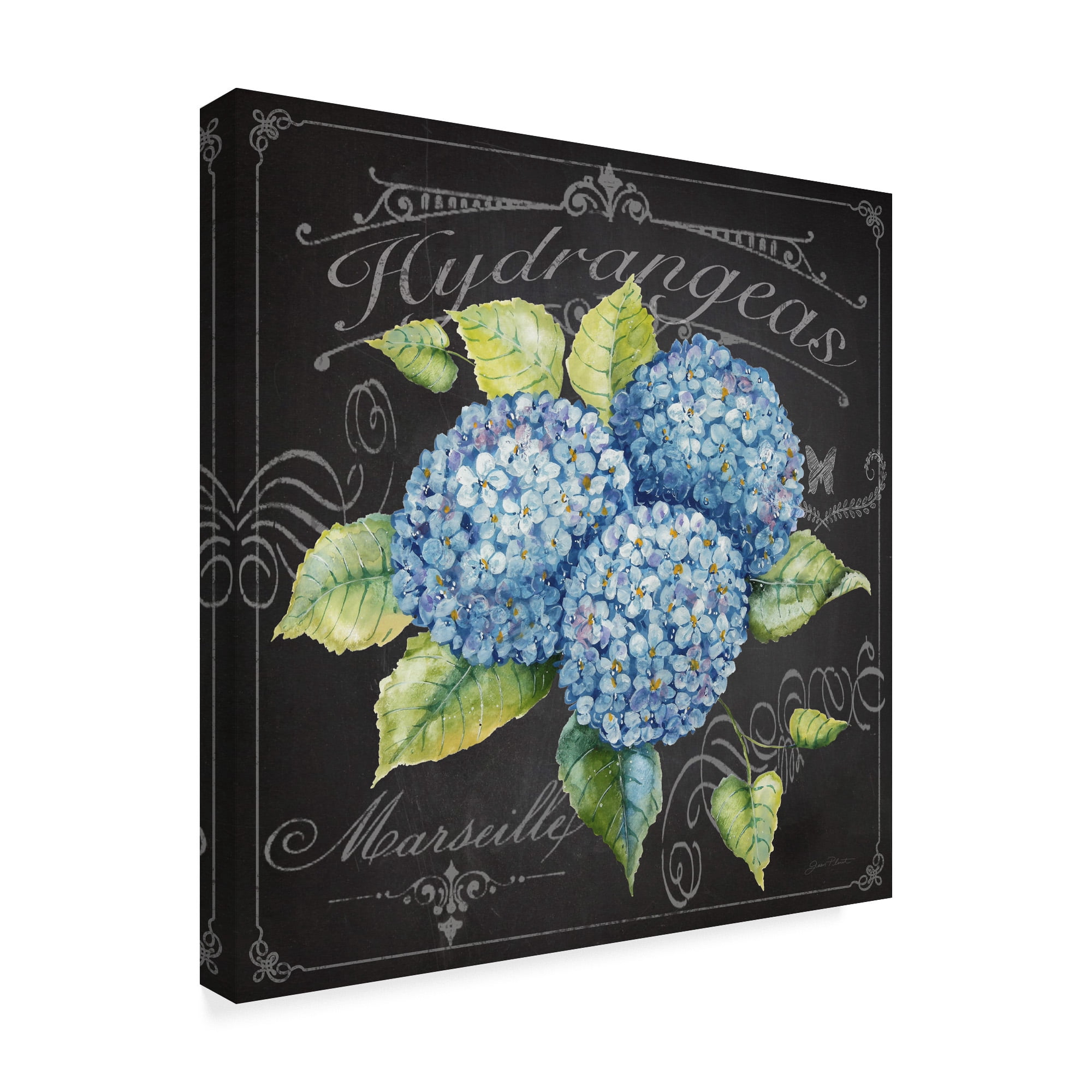 Trademark Fine Art 'Hydrangeas 3' Canvas Art by Jean Plout