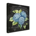 thumbnail image 2 of Trademark Fine Art 'Hydrangeas 3' Canvas Art by Jean Plout, 2 of 3