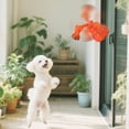 thumbnail image 4 of Interactive Motion Activated Dog Toy Rechargeable Rolling With LED Light For Indoor Pet Exercise And Entertainment, 4 of 4