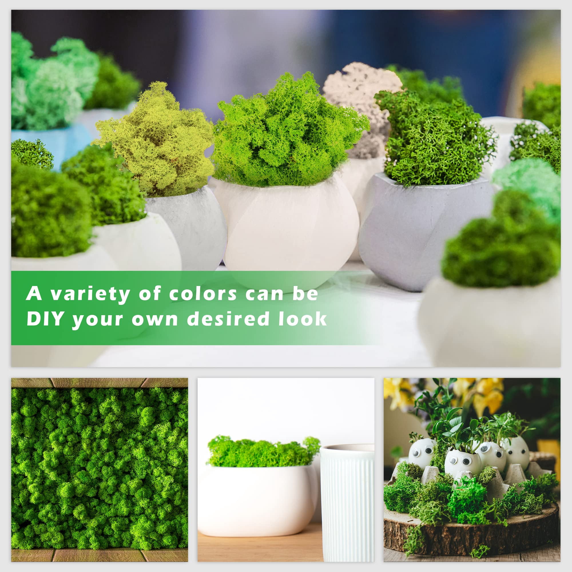 6 Colors Preserved Moss - 16.9 oz Natural Reindeer Moss for Crafts Potted Plants Floral Arrangements Home Garden Decor