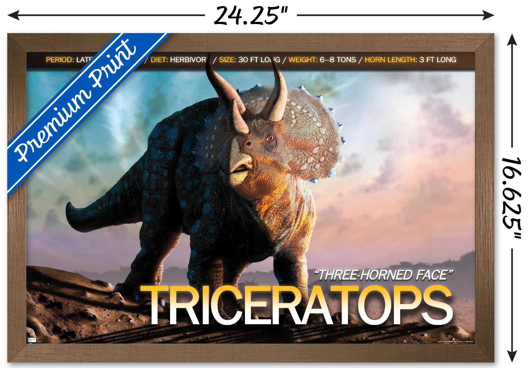 Dinosaurs - Triceratops Wall Poster, 14.725" x 22.375", Framed