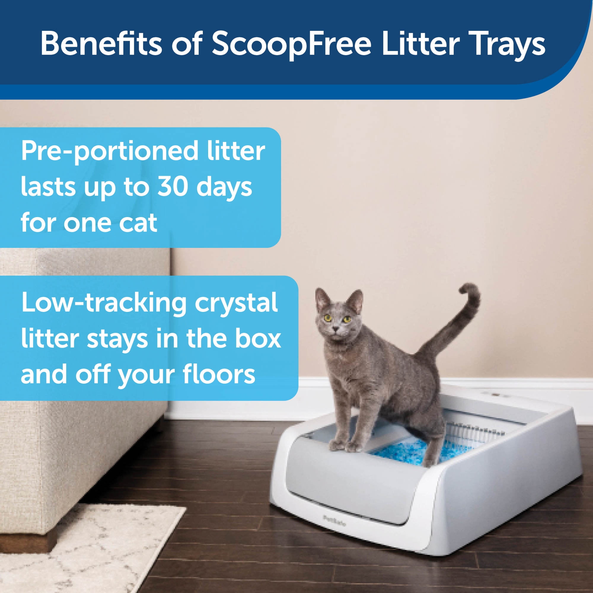 scoopfree litter tray refills walmart