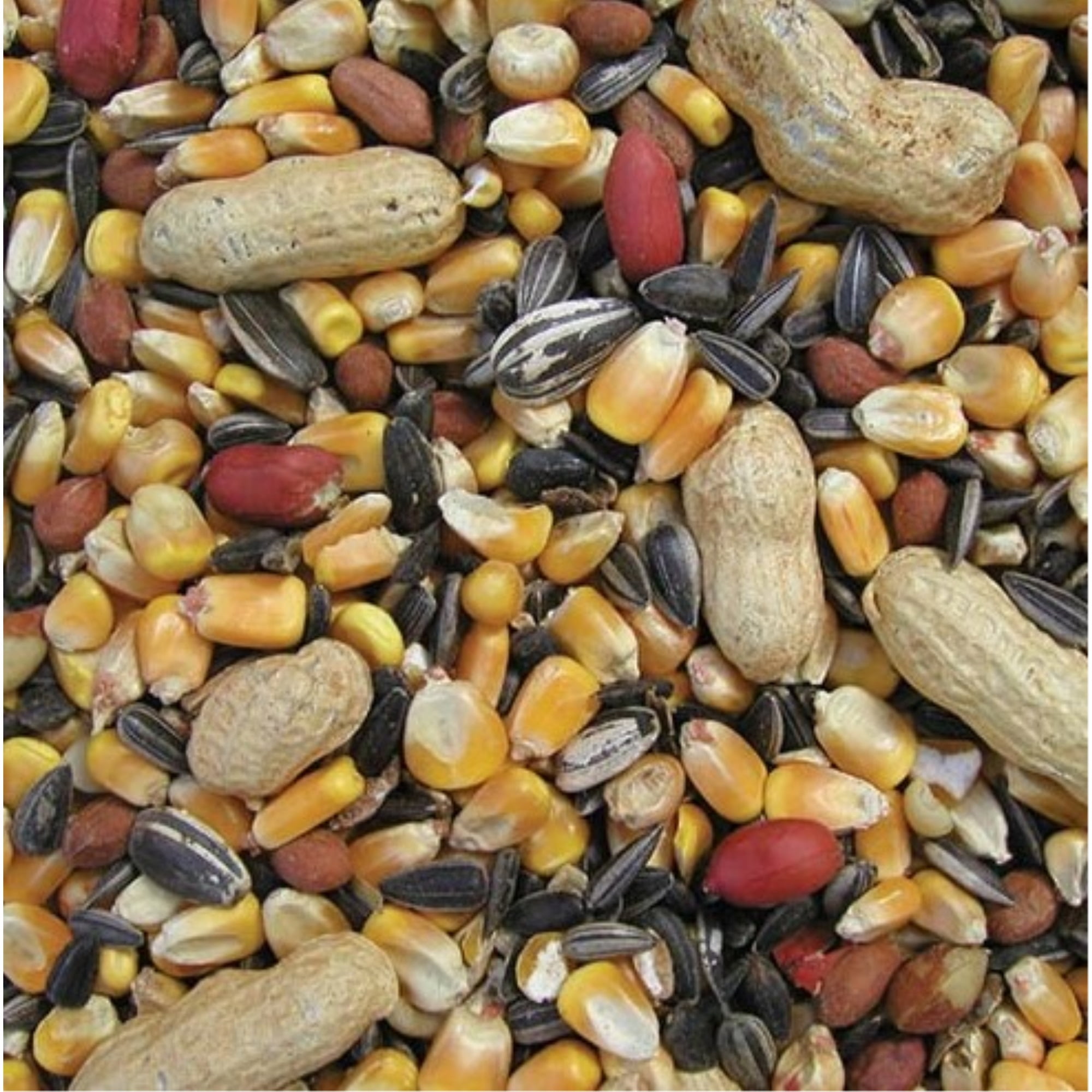 CRITTR MUNCH BIRDSEED10# (Pack of 1)