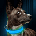 thumbnail image 4 of Collar luminoso LED recargable para perros, collar luminoso reflectante ajustable, 4 of 6