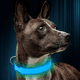 thumbnail image 5 of El collar luminoso para perros es recargable y resistente al agua para la seguridad de las mascotas, la luz del perro camina por la noche., 5 of 6