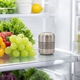 thumbnail image 5 of Stainless Steel Refrigerator Odor Eliminator, Compact Fridge Deodorizer Box for Kitchen Refrigerator Freezer Car Closet Pantry and Other Enclosed Spaces, 5 of 9