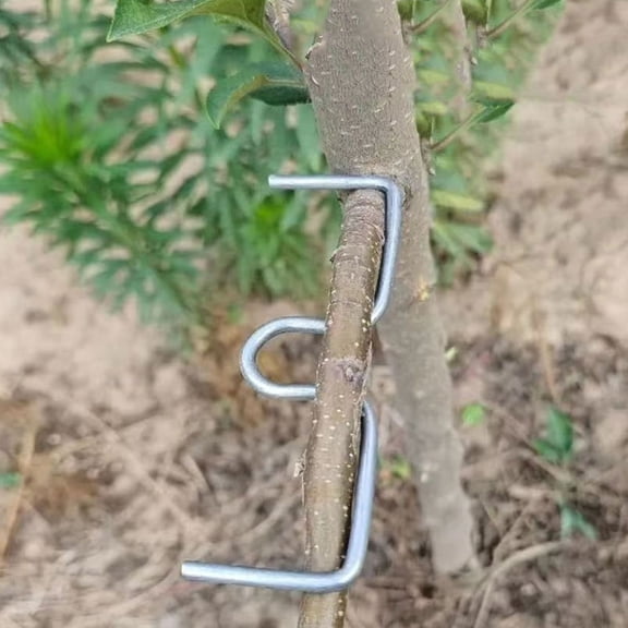 Hemobllo 20Pcs Hotdip Galvanized Steel Fruit Tree Branch Puller for Garden Use