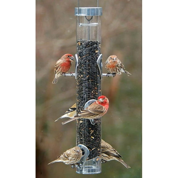 A-6 Ring Pull Seed Bird Feeder