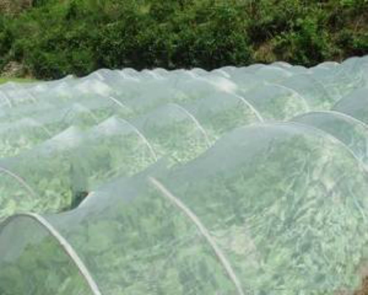 Agfabric 10'x25' Bug Net Insect Bird Netting, Garden Netting Protect Plants Fruits Flowers against Bugs, Birds & Squirrels