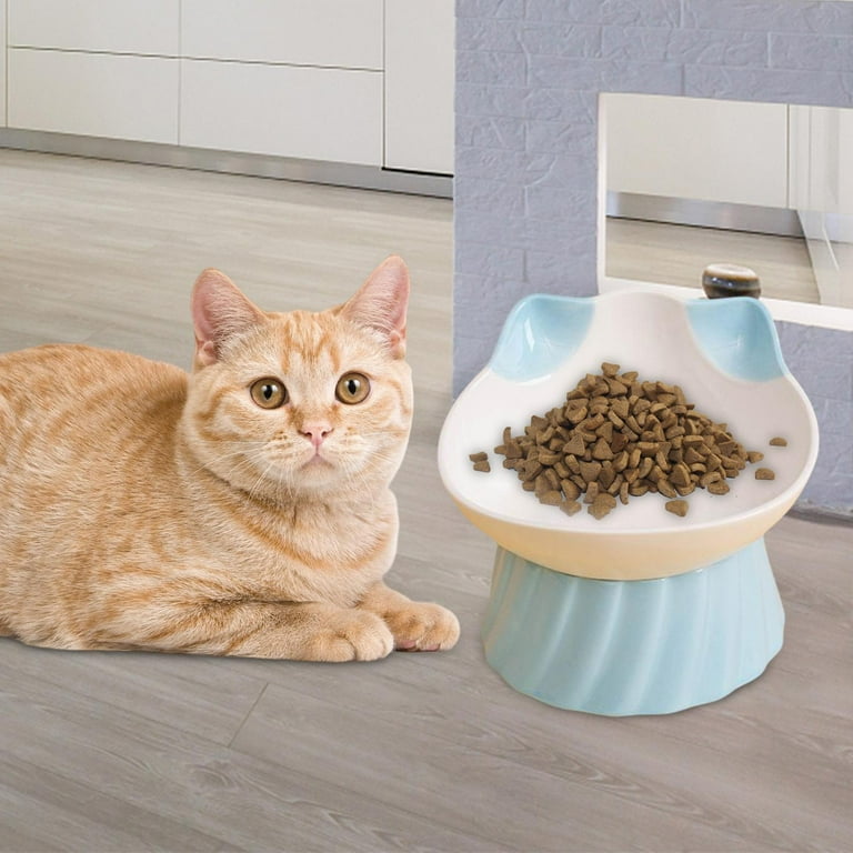 High cat feeding station cheap