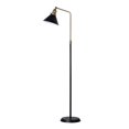 thumbnail image 1 of HOMETRENDS Floor Lamp, 1 of 5