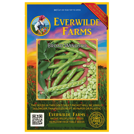 - Everwilde Farms - 40 Broad Windsor Fava Bean Seeds - Gold Vault Jumbo Bulk Seed Packet