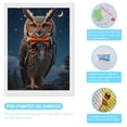 thumbnail image 3 of Diamond Art Kit for Adults, Owl Glasses Bowtie Night Sky Diamond Painting for Adults Beginners, 5D DIY Diamond Art Painting Kits, Colorful Diamond Painting Craft for Home Decor 12x16, 3 of 7