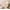 Transparent,Champagne, variant on Clearance Sale! Yuoaen Curtain, 1 Luxury Glass Beads Door String Tassel Curtain Wedding Divider Panel Room Decor Clear