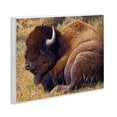 thumbnail image 4 of Stupell Industries Relaxing Young Bison Animals Painting Unframed Art Print Wall Art, 14 x 11, 4 of 8