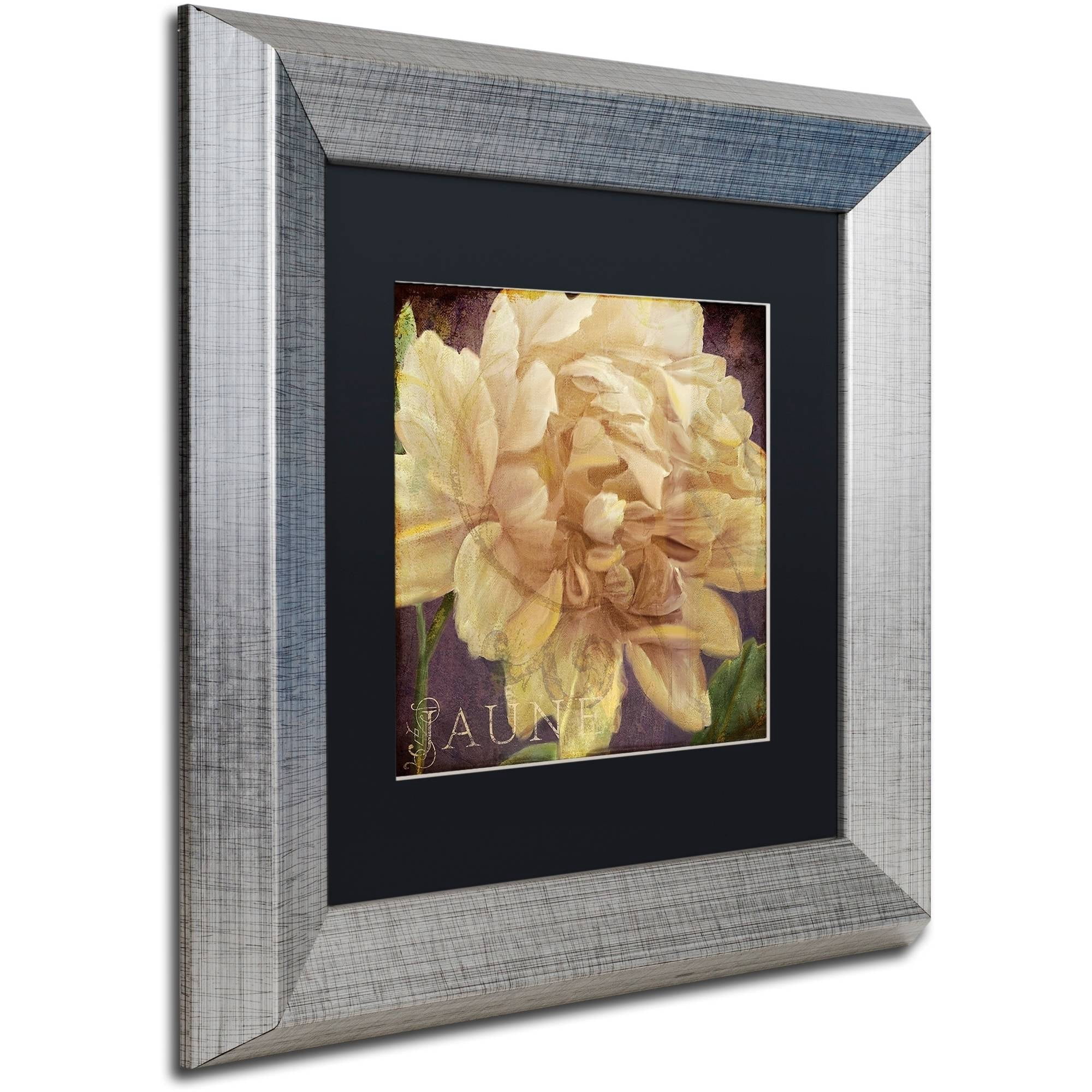 Trademark Fine Art "Jaune" Canvas Art by Color Bakery Black Matte, Silver Frame