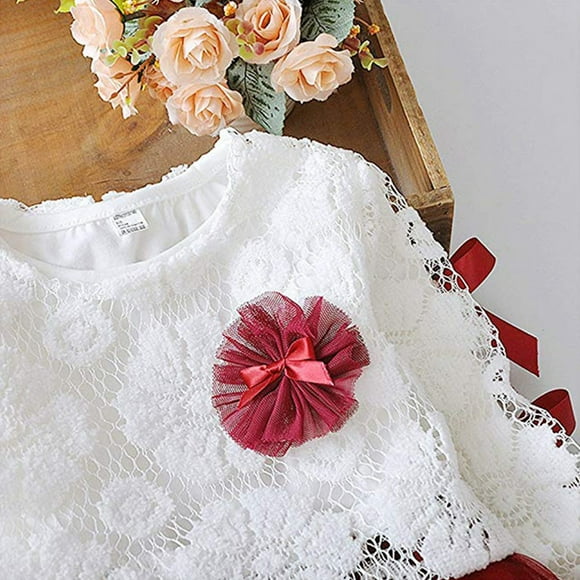 Traje De Bebé Cómodo Vestido De Princesa De Encaje Niña Manga Larga