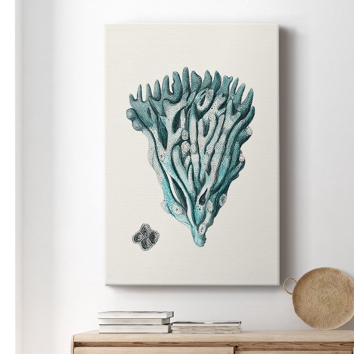 Antique Coastal Coral X Premium Gallery Wrapped Canvas - Ready to Hang