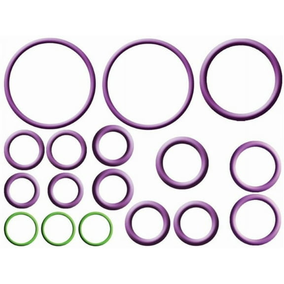 O-Ring & Gasket A/C System Seal Kit