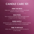 thumbnail image 5 of Yankee Candle Sparkling Pinkberry Original Large Jar Scented Candles, 22 oz, 5 of 6