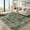 Green, variant on Haperlare Vintage Area Rugs Oriental Boho Rugs for Living Room Washable Soft Bathroom Rugs Beige Indoor Floor Carpet,8'x10'