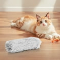 thumbnail image 2 of Xihbxyly Almohadas Suaves para Gatos, Juguetes de Hierba Gatera Acogedores para Jugar, Cojines Interactivos para La Dentición, Alivio Del Estrés, Solución para Actividades En Interiores, Perfectos pa, 2 of 6