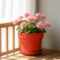 thumbnail image 2 of Imitation Ceramic Plastic Plant Pot with Matching Saucer, Thickened Conical Flower Planter with Drainage Hole for Indoor Outdoor Garden Decor Red, 2 of 6