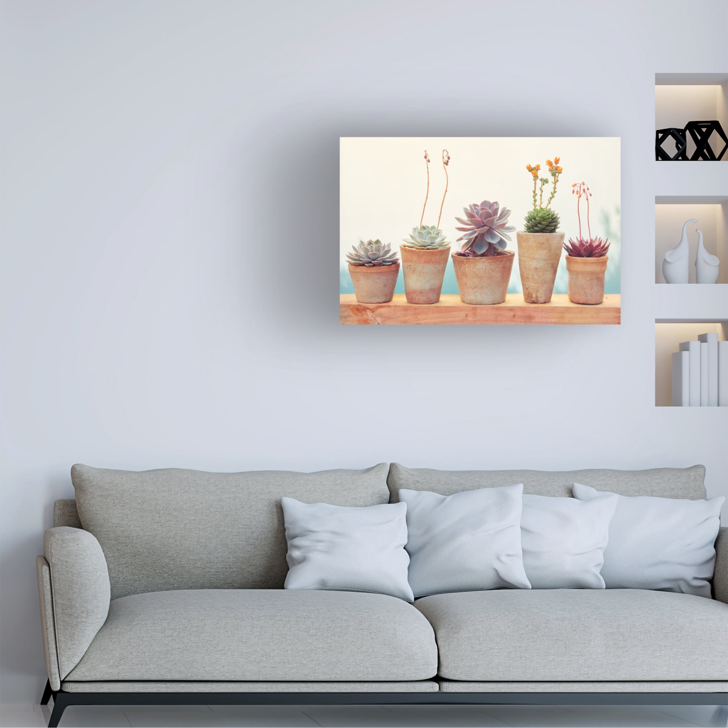 Cora Niele 'Succulent Window I' Canvas Art