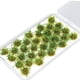 thumbnail image 2 of micropaisaje Hierba,Modelo de hierba estática Mechones de hierba Ferrocarril artificial,Kits de terreno de mechones de hierba en miniatura Césped artificial,Mechones tupidos Arbustos de, 2 of 8