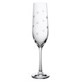 thumbnail image 1 of Trudeau Sparkle Champagne Flutes 6.4OZ BX/4, 1 of 4