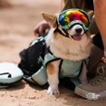 thumbnail image 5 of Mochila transportadora para perros K9 Sport Sack Plus 2 Mediana Mint Verano, 5 of 5