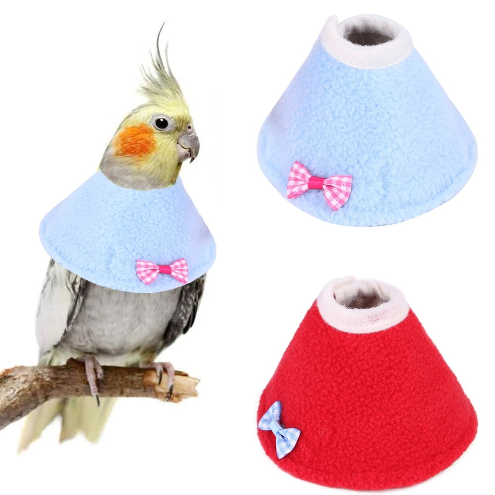 bird cone collar