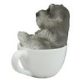 thumbnail image 6 of Realistic Mini Adorable Schnauzer Teacup Statue 3"H Pet Pal Dog Breed Figurine, 6 of 6