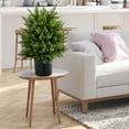 thumbnail image 2 of Costway 22'' Artificial Cedar Topiary Ball Tree 2-Pack Faux Shrub Bush Trees for Decor, 2 of 9