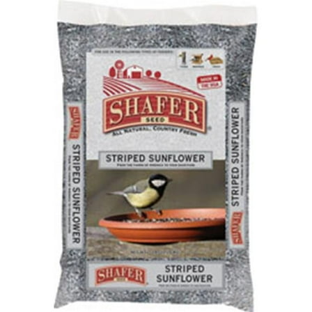 Shafer Striped Sunflower - 40 lbs