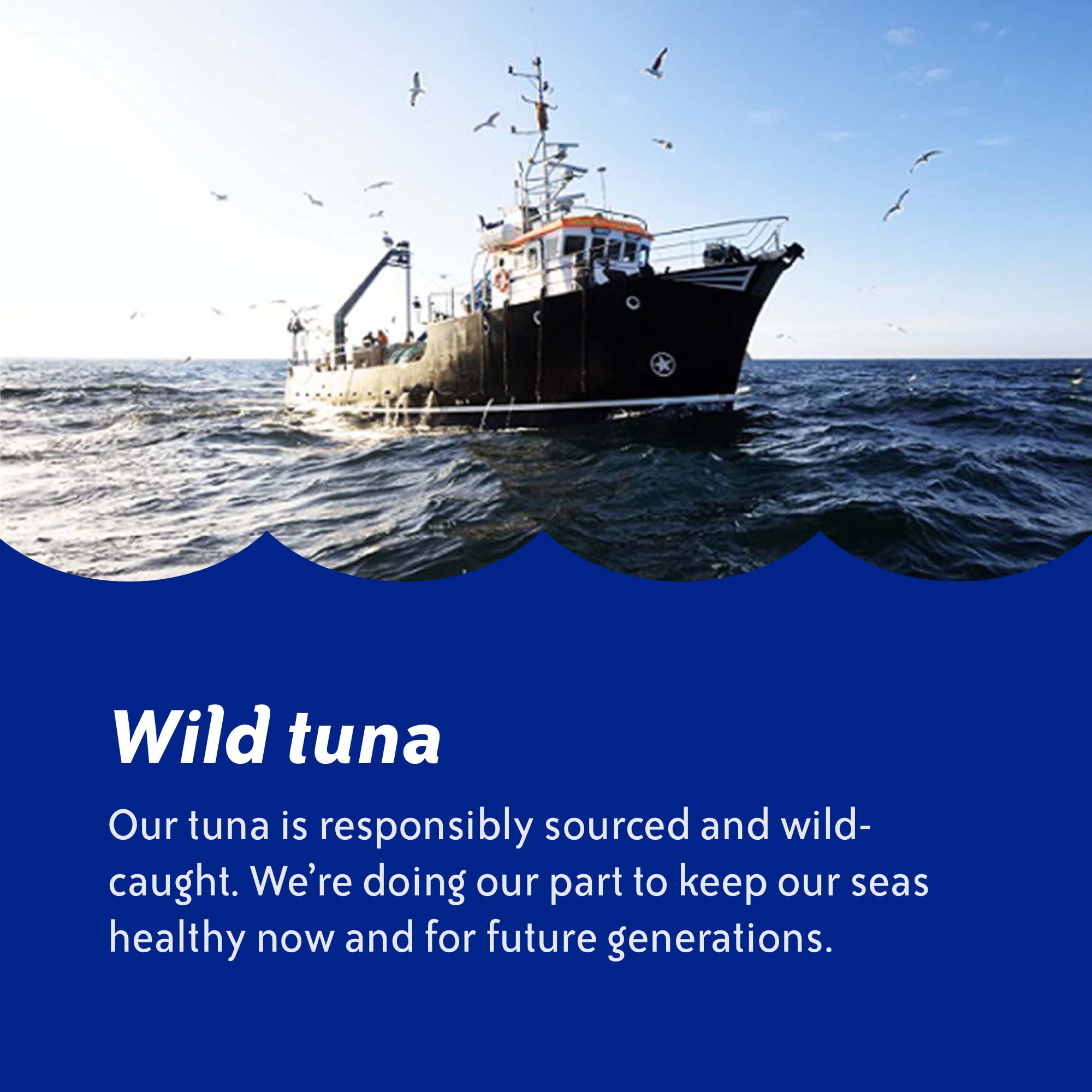 (2 pack) (4 Pack) Chicken of the Sea Chunk Light Tuna in Water, 5 oz