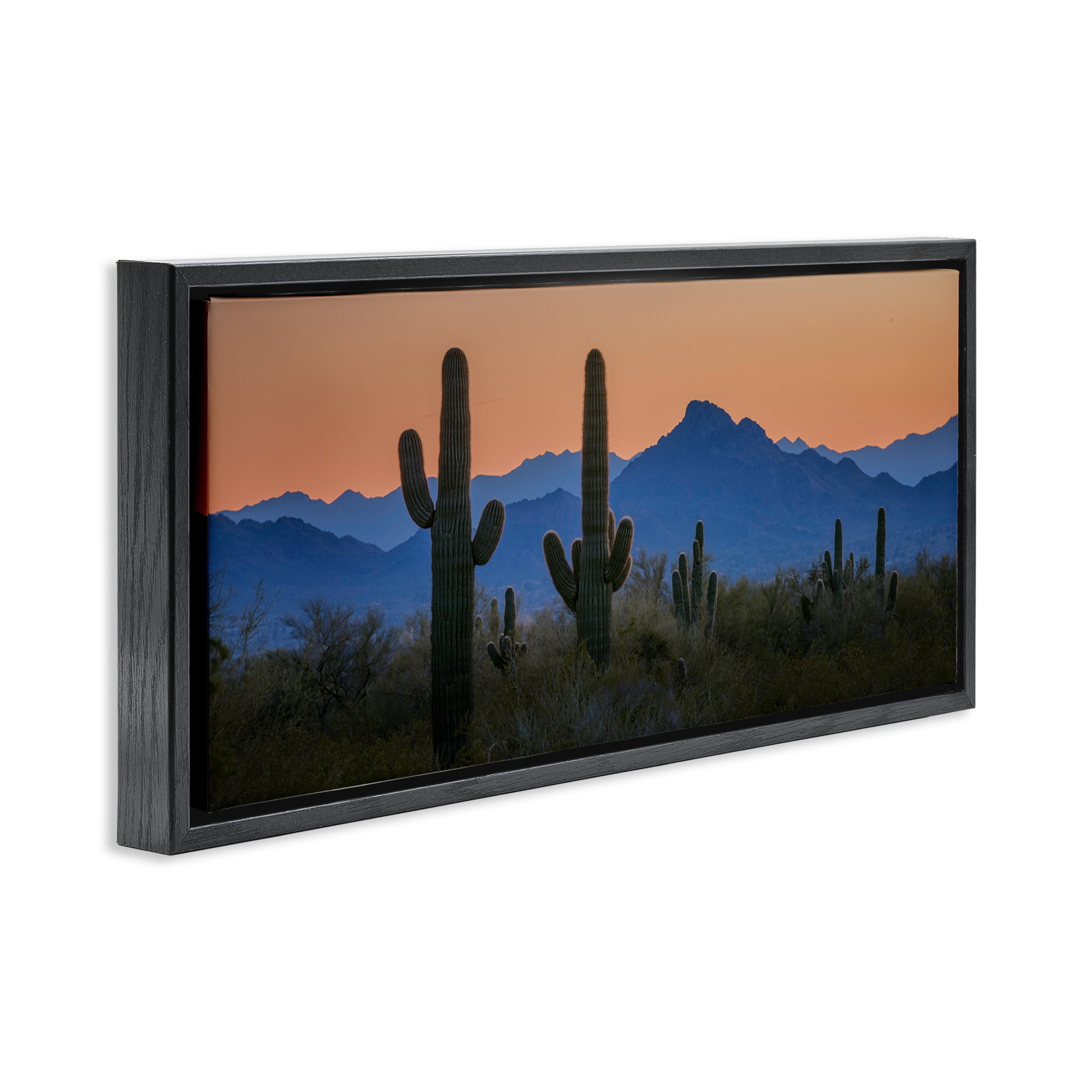 Stupell Industries Contrasting Desert Sunset Landscape & Nature Photography Black Floater Framed Canvas Art Print Wall Art, 25 x 11