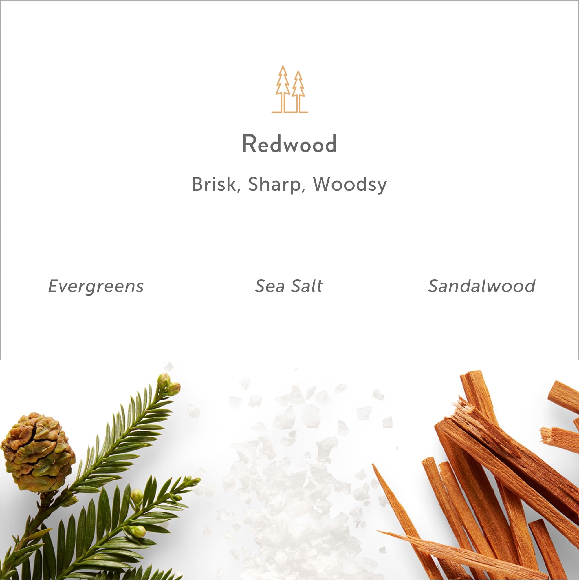 Harry's Men's Dry Skin Relief Body Lotion, Redwood Scent, 10 fl oz