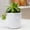 White#110, variant on Succulent Pots Plant Accessories Gardening Pots, Planters & Accessories Ceramic Pots For Plants Garden Decor Indoor Plant Pots Flower Pots For Indoor Plants Planters For Indoor Plants Coffee#90