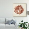 thumbnail image 3 of Trademark Fine Art 'Seaweed Specimens XIV' Canvas Art by Naomi McCavitt, 3 of 4