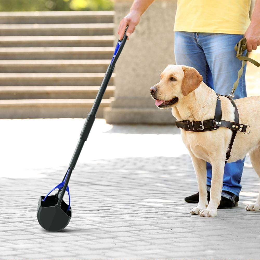 Dog walking sale pooper scooper