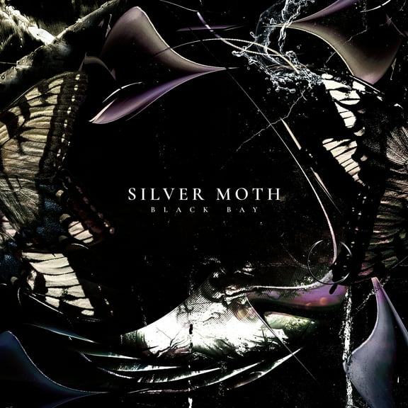 Silver Moth - Black Bay - Music & Performance - Vinyl