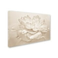thumbnail image 3 of Trademark Fine Art 'White Peony' Canvas Art by Cora Niele, 3 of 4